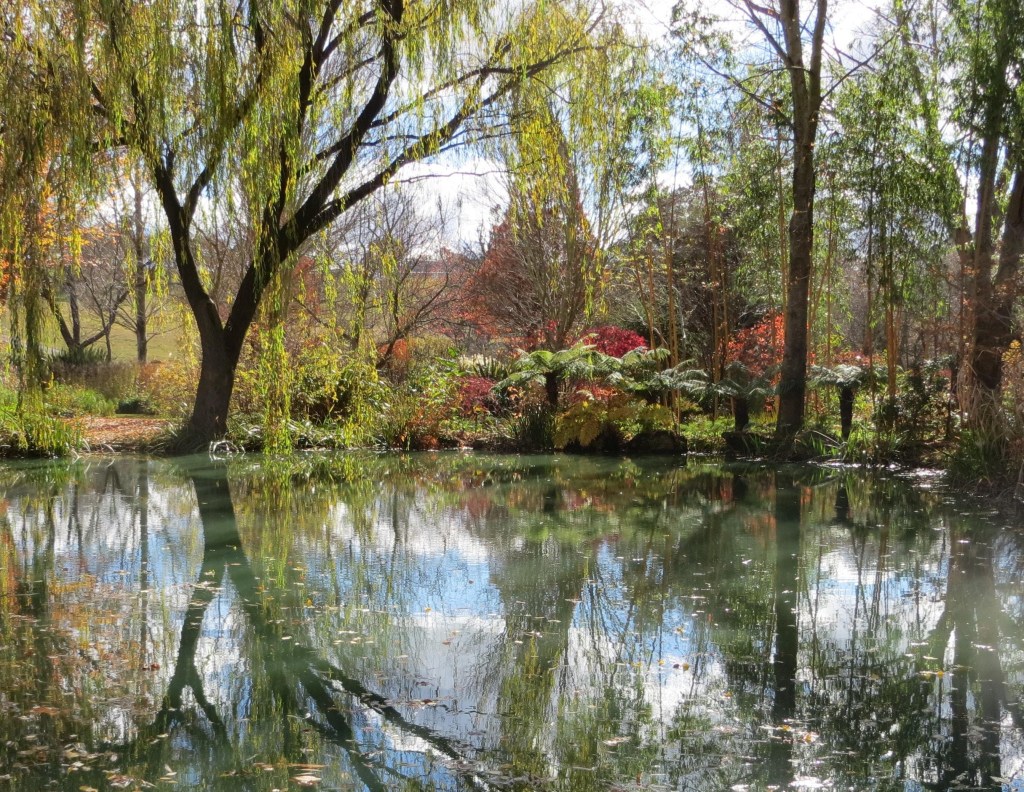 La beauté, en&nbsp;tout