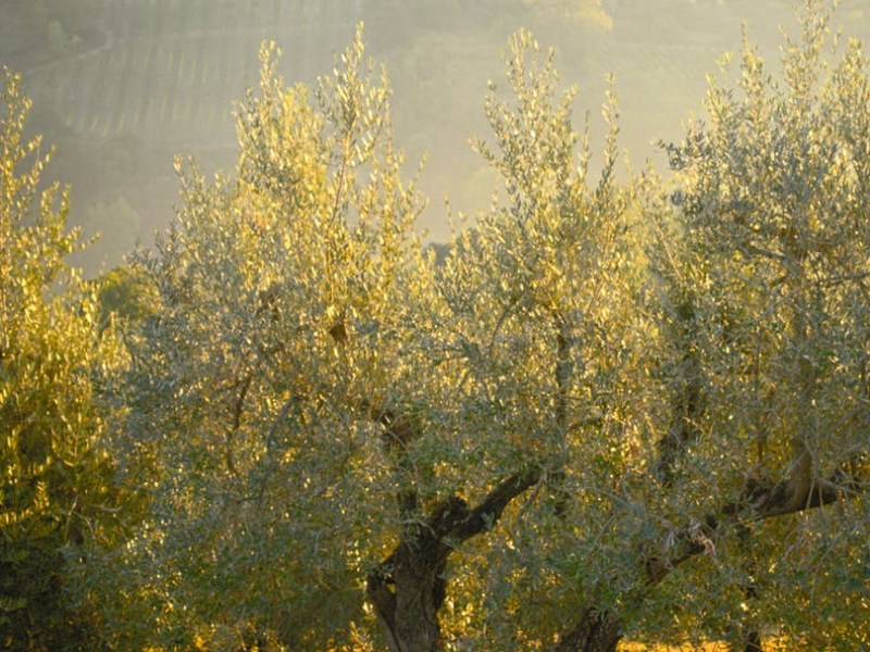 Présent à ce qui&nbsp;est