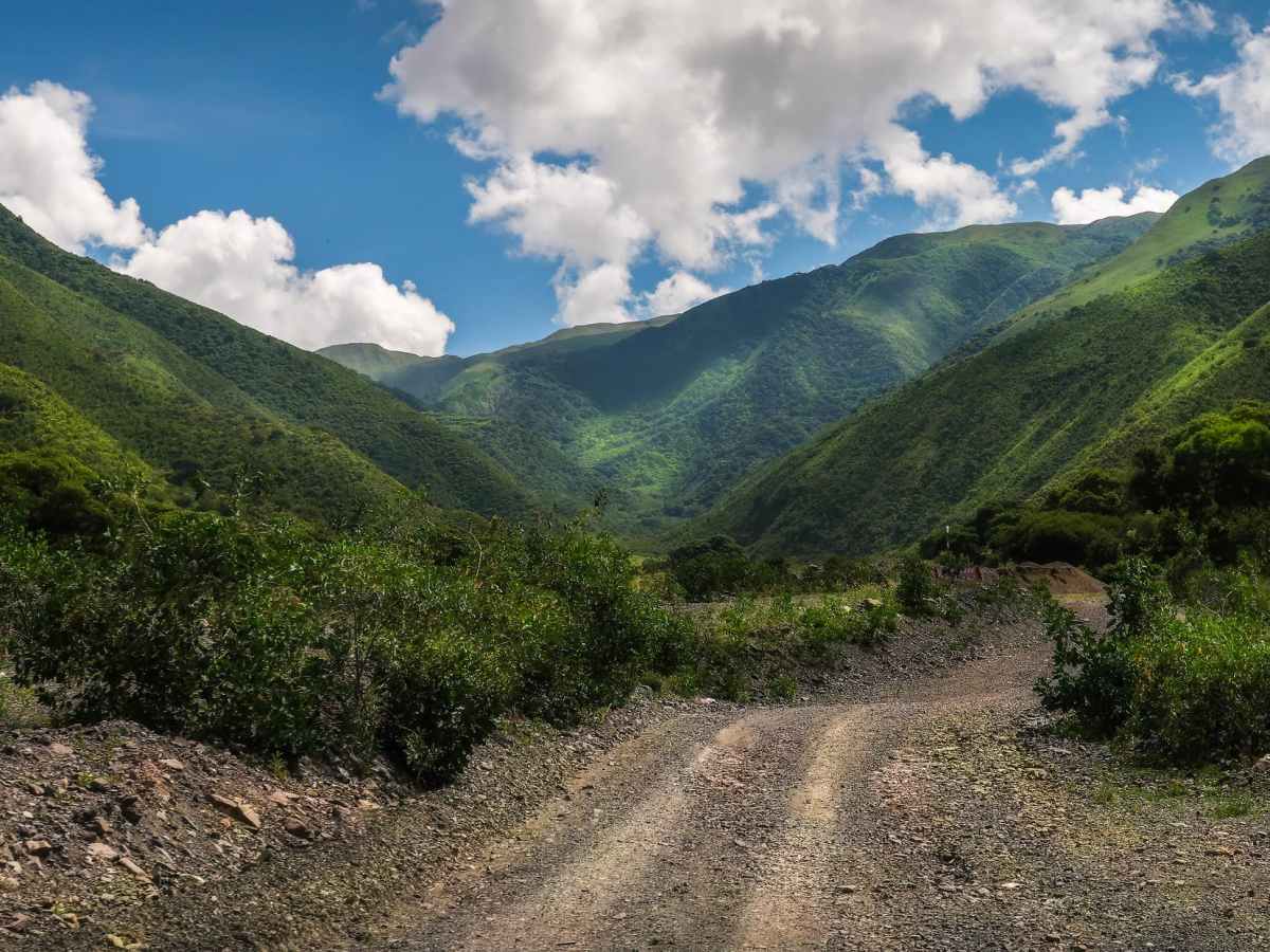 Qui décide pour&nbsp;nous